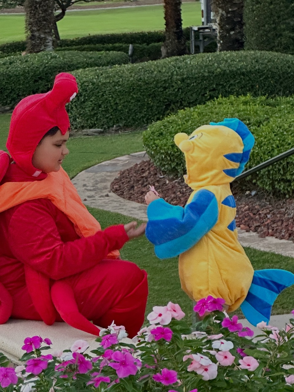 Disney Flounder from the little mermaid costume - Picture 2 of 4